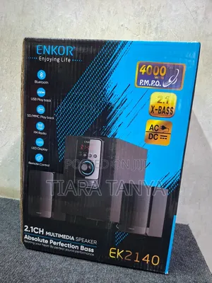 2.1 Ch Enkor 4000 Watts EK2140 AC DC