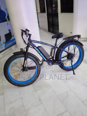 1000W Electric Bicycle 48V 13Ah Battery – 80KM Range