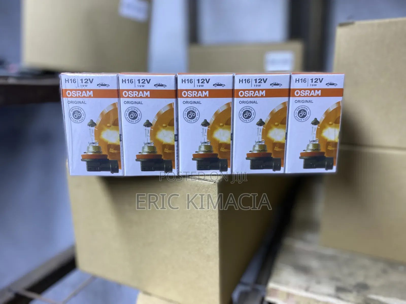 Osram H16 Bulb