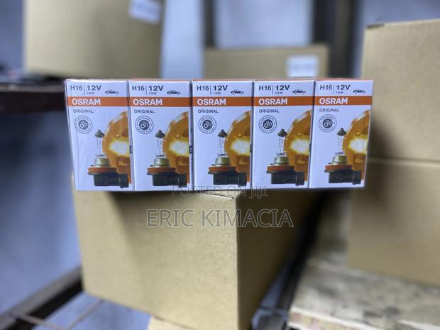 Osram H16 Bulb