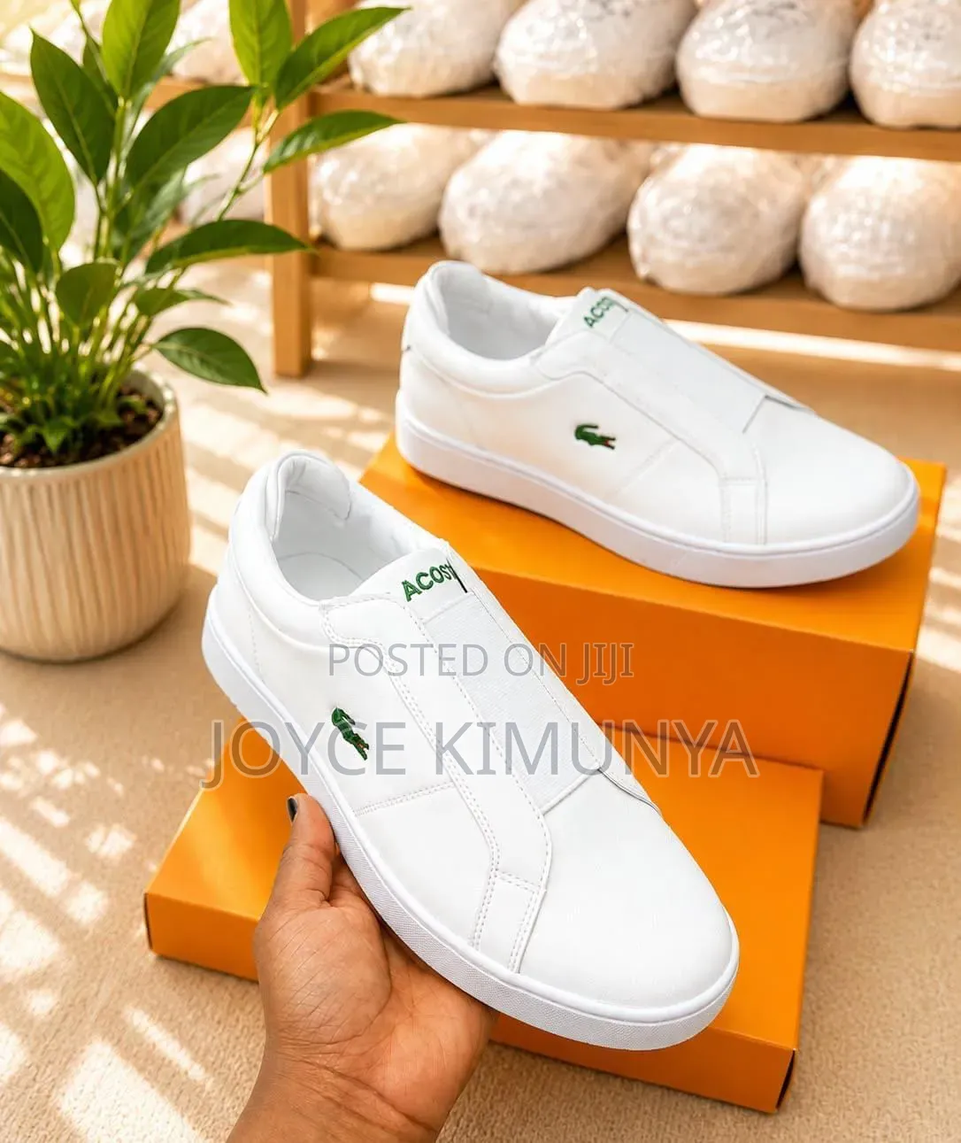 Lacoste 
Sizes 40-45 
Normal Fitting