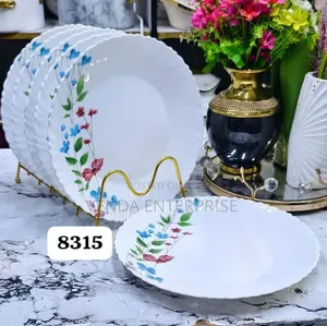 Plates 10.5 Inch