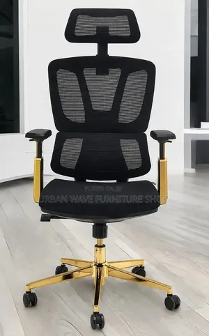 Orthopaedic Office Chair