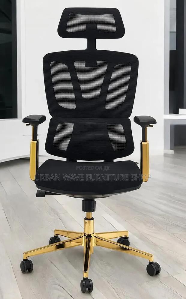 Orthopaedic Office Chair
