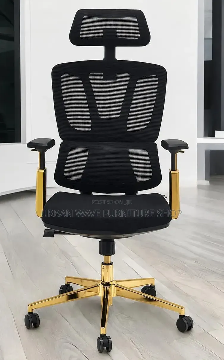Orthopaedic Office Chair