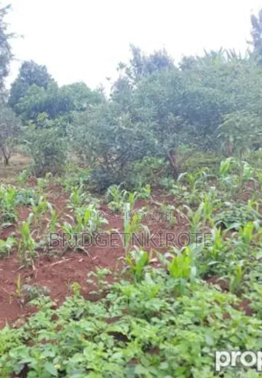 1/4 Acre Flat Land at Kaithe,500 Metres From Meru-Maua Highway