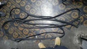 Body and Door Dust Rubber Available for Toyota and Nissan