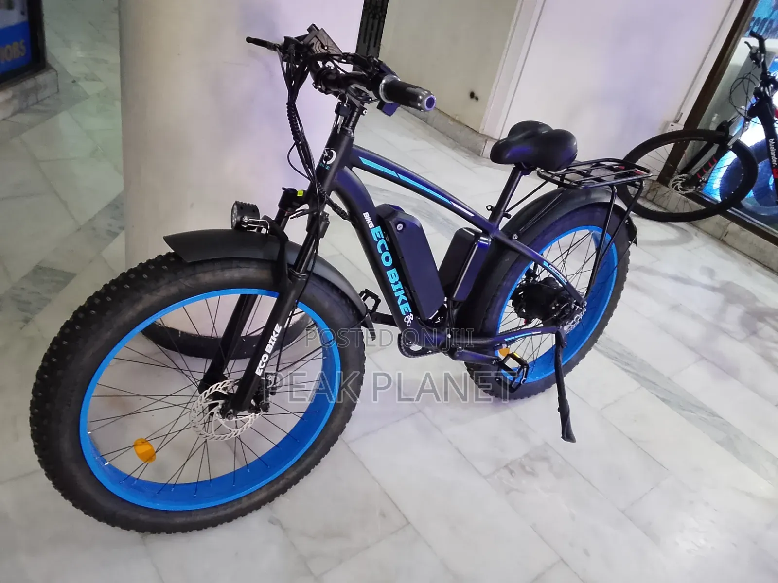 Powerful 1000W Electric Bicycle With 48V Battery