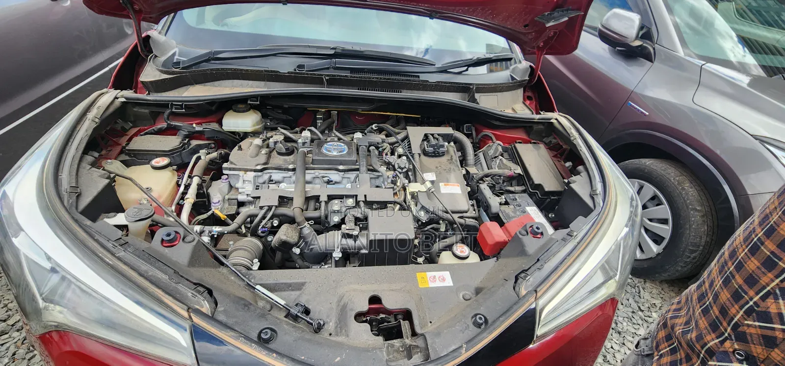 Toyota C-HR 2019 Red