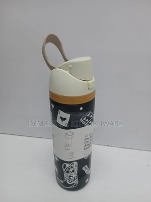 Insulated Thermo Bottle _Owala