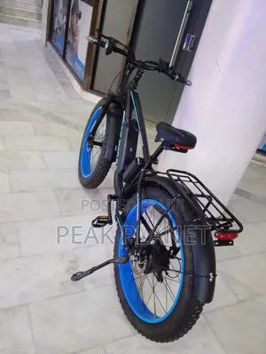 Heavy Duty Electric Bicycle 1000W – 200KG Load Capacity