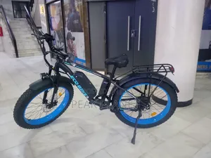 48V 13Ah Electric Bike – 1000W Motor & 80KM Range