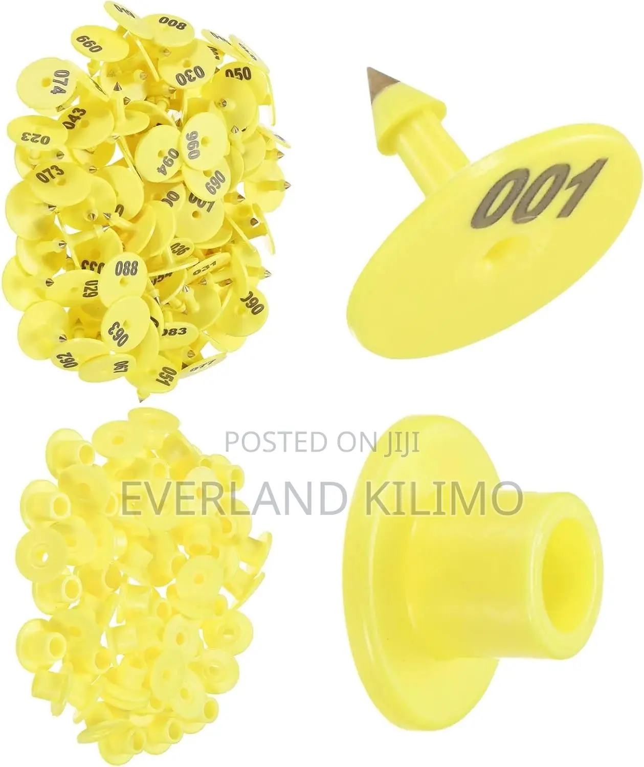 Bright Blank Sheep Round Ear Tags