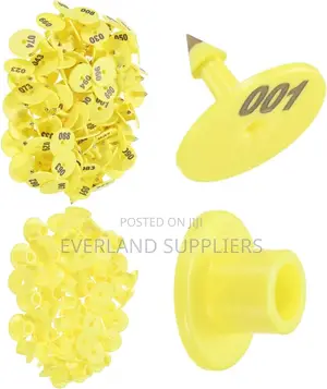 Bright Blank Sheep Round Ear Tags
