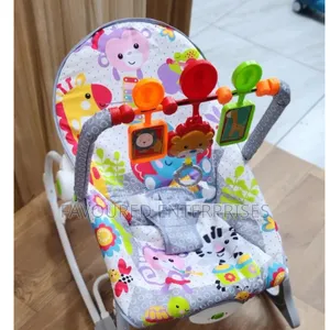 Infant to Toddler Baby Rocker