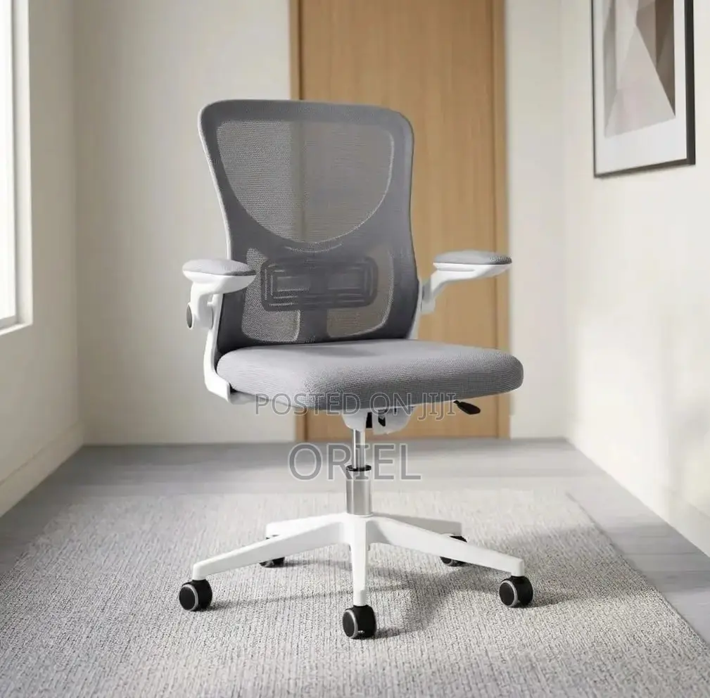 Office Chair : Gray Adjustable Mesh Staff Chair