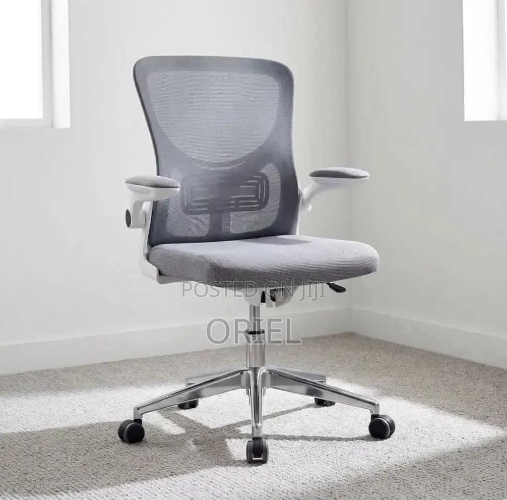 Office Chair : Gray Adjustable Mesh Staff Chair