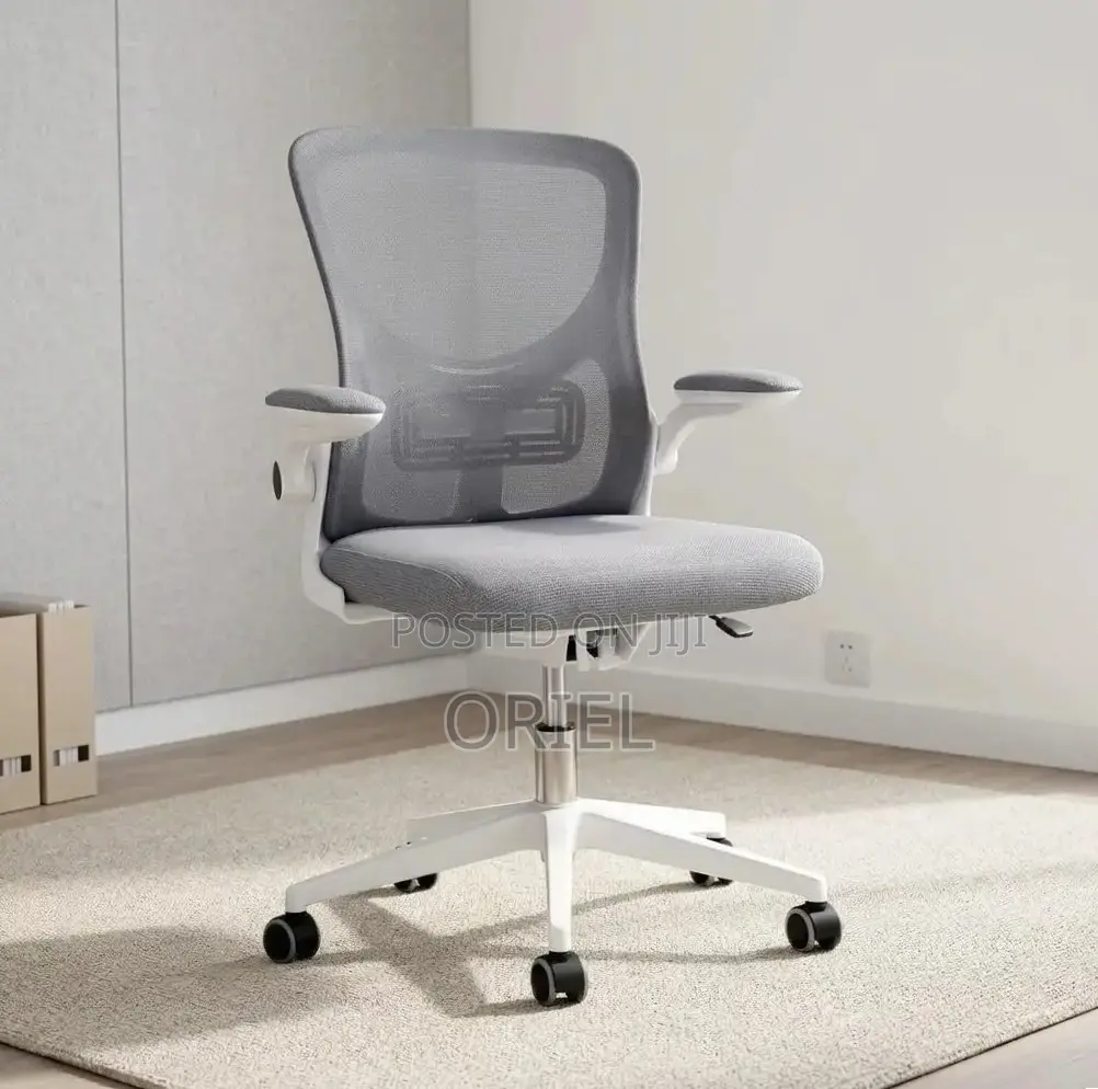 Office Chair : Gray Adjustable Mesh Staff Chair