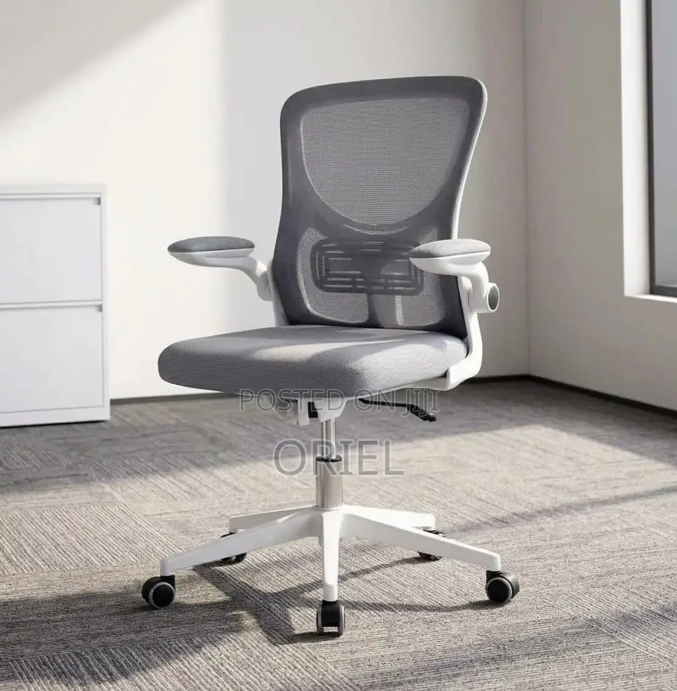 Office Chair : Gray Adjustable Mesh Staff Chair