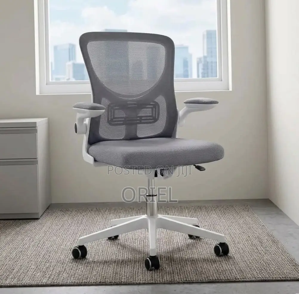 Office Chair : Gray Adjustable Mesh Staff Chair