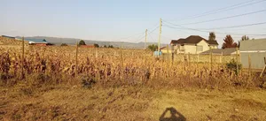 Prime Plot at Grensted Nakuru Near Highway
