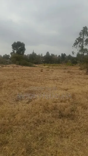 Prime 50×100 Plots in Kilimambogo