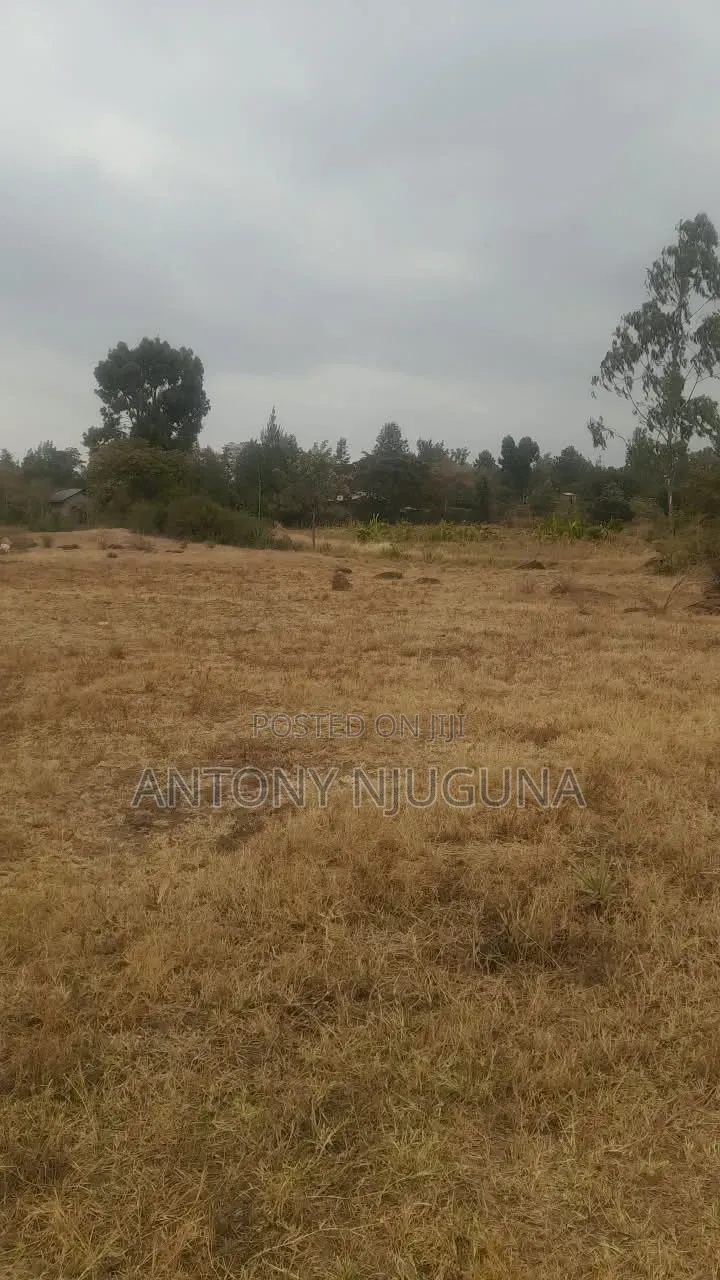 Prime 50×100 Plots in Kilimambogo