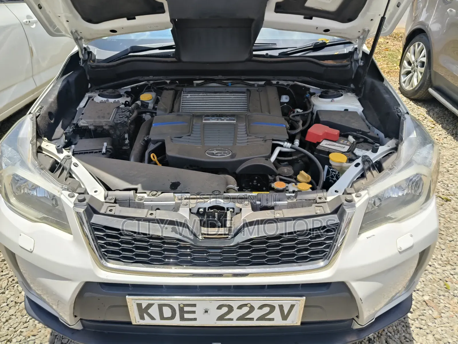 Subaru Forester 2014 White