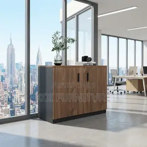 Office Cabinet; Two Doors Polished Executive Credenza