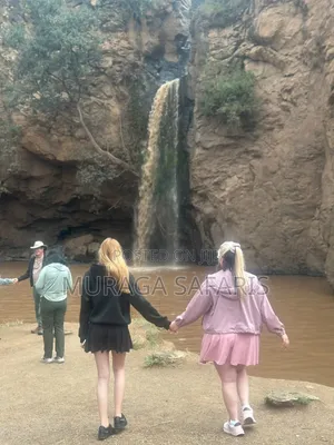 Safaris Tour