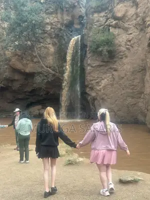 Safaris Tour
