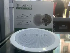 Celing Speakers 6inches