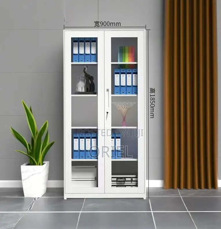 Office Storage Cabinet : Full Glass 2-Door Steel Filing Cabinet