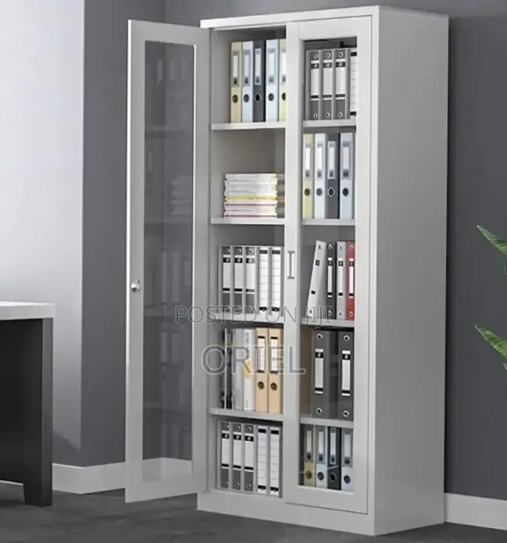 Office Storage Cabinet : Full Glass 2-Door Steel Filing Cabinet