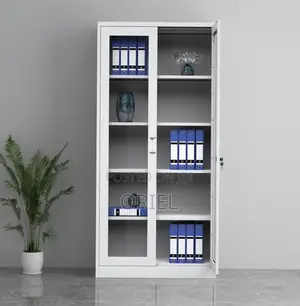 Office Storage Cabinet : Full Glass 2-Door Steel Filing Cabinet