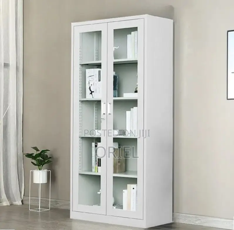 Office Storage Cabinet : Full Glass 2-Door Steel Filing Cabinet