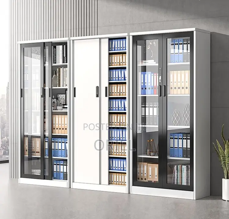 Office Storage Cabinet : Full Glass 2-Door Steel Filing Cabinet