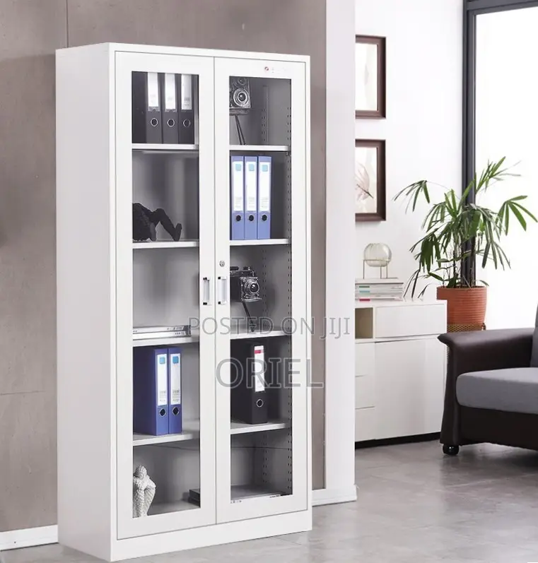 Office Storage Cabinet : Full Glass 2-Door Steel Filing Cabinet