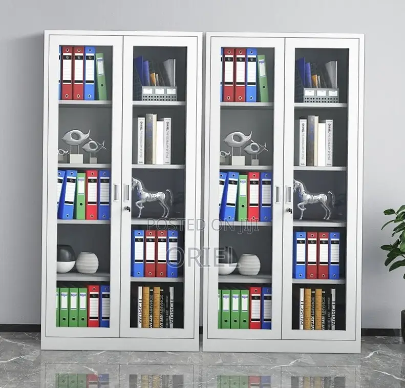 Office Storage Cabinet : Full Glass 2-Door Steel Filing Cabinet