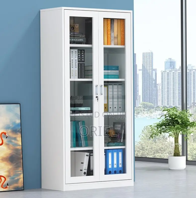 Office Storage Cabinet : Full Glass 2-Door Steel Filing Cabinet