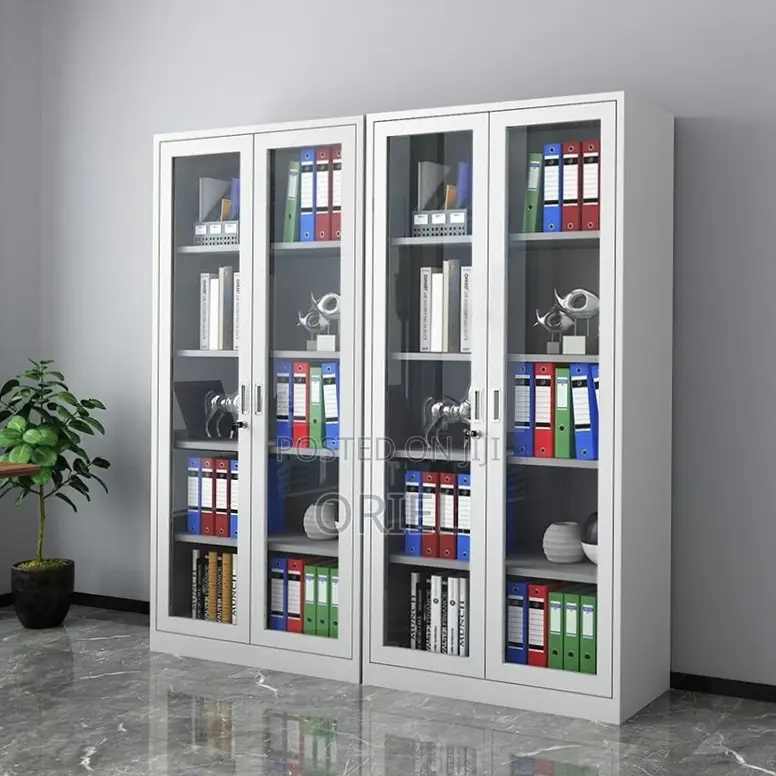 Office Storage Cabinet : Full Glass 2-Door Steel Filing Cabinet