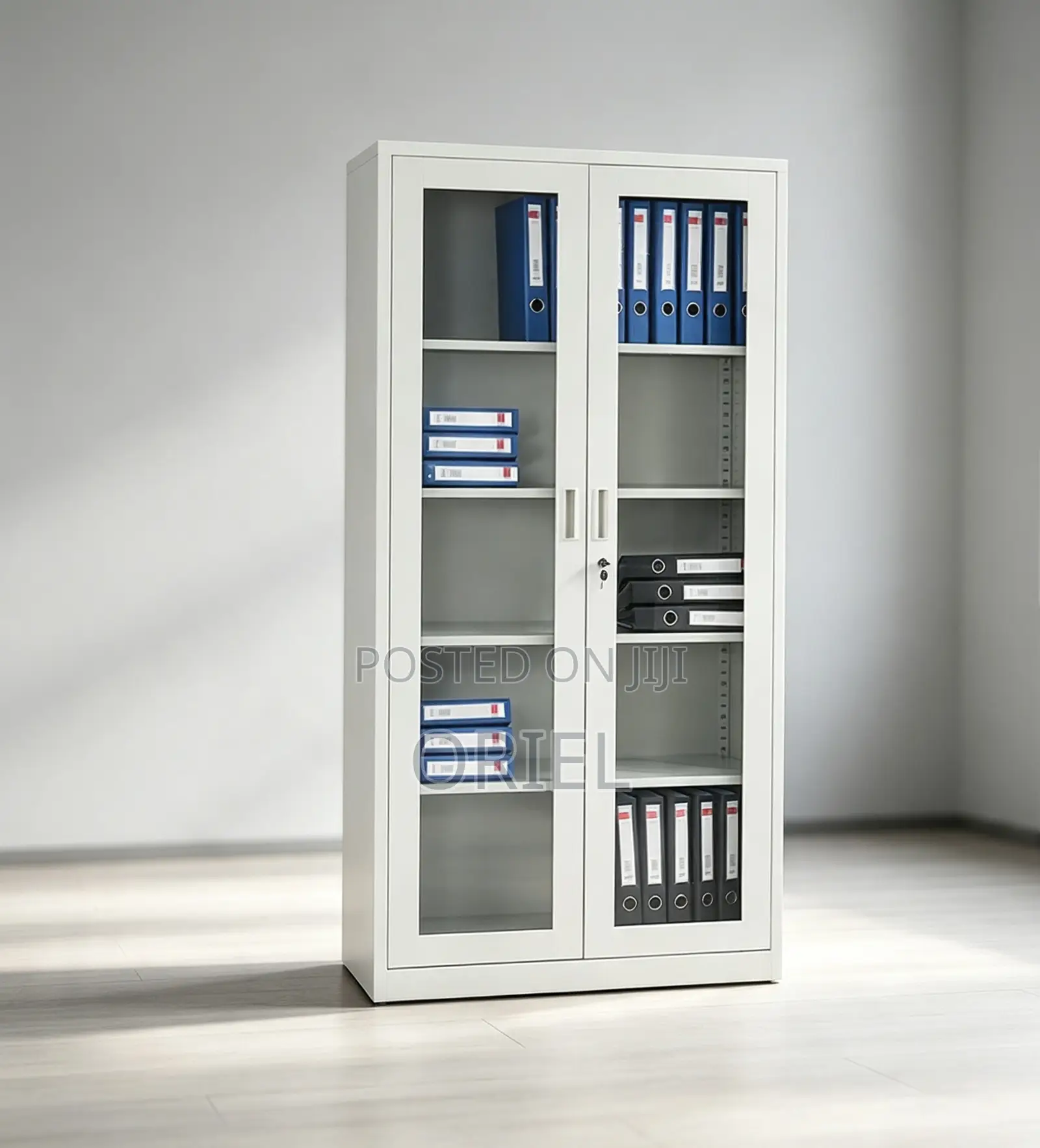 Office Storage Cabinet : Full Glass 2-Door Steel Filing Cabinet