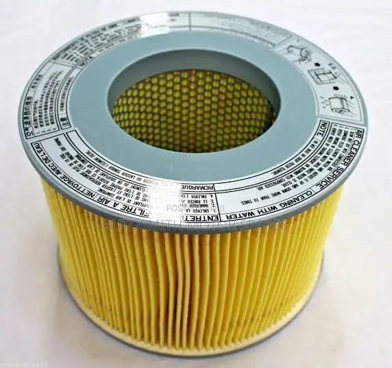 Genuine Land Cruiser Prado 105/95 Air Filter
