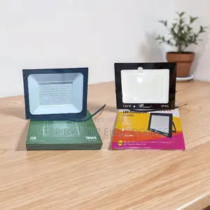 Direct Factory Prices High 100W Watts AC Electric LED Flood Lights