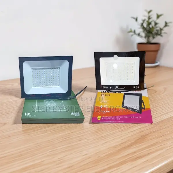 Direct Factory Prices High 100W Watts AC Electric LED Flood Lights