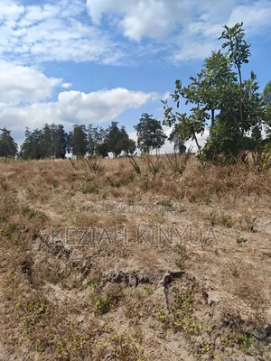 Zawadi Gardens Mananja