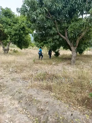 Zawadi Gardens Mananja