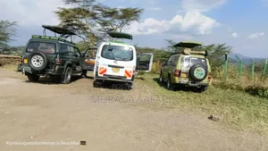 Safaris and National Park