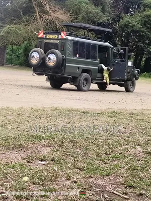 Safaris and National Park