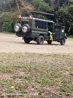 Safaris and National Park